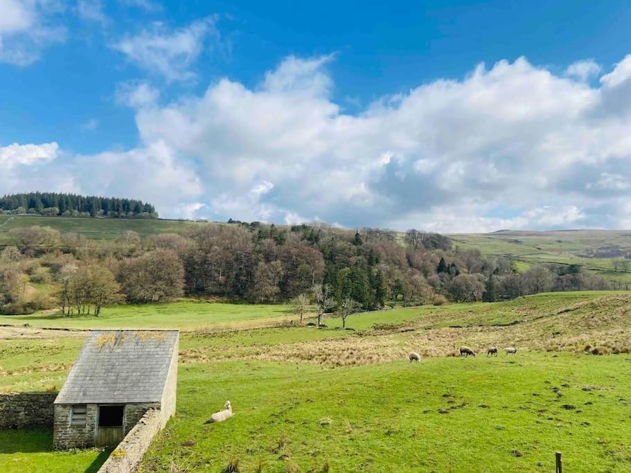 Holiday home The Hideaway Shepherd's Hut, Alston, Cumbria *