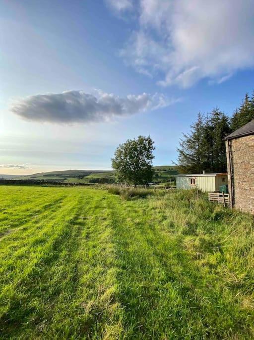 The Hideaway Shepherd's Hut, Alston, Cumbria